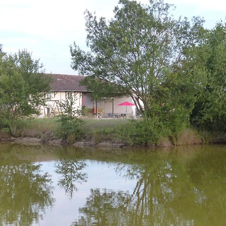 Gites Domaine De La Rochere Domsure Eksteriør billede
