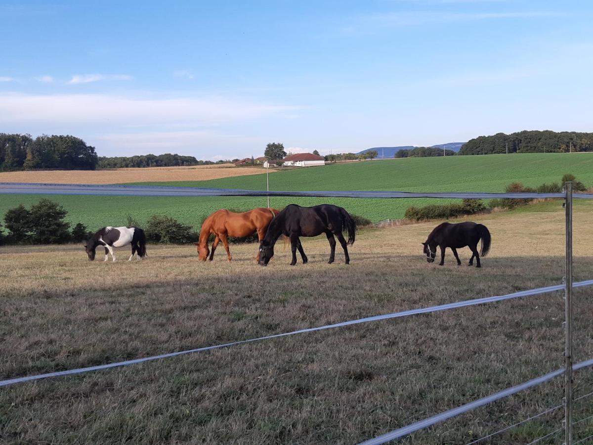 Gites Domaine De La Rochere Domsure Eksteriør billede