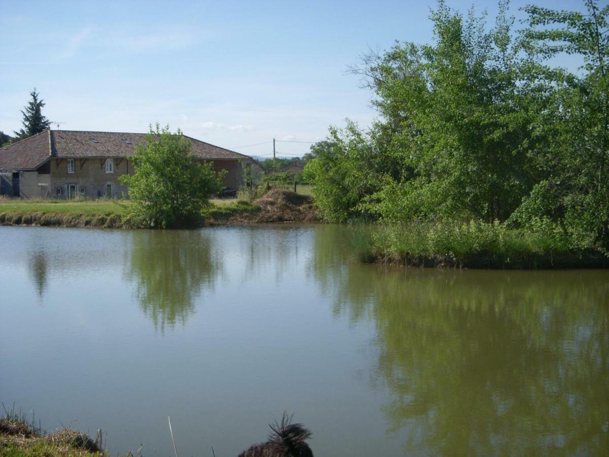 Gites Domaine De La Rochere Domsure Eksteriør billede
